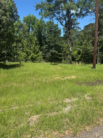 TBD Rose, Red Clover, Livingston, TX 77351