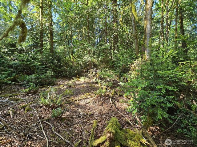 655 E Pointes Drive E, Shelton, WA 98584