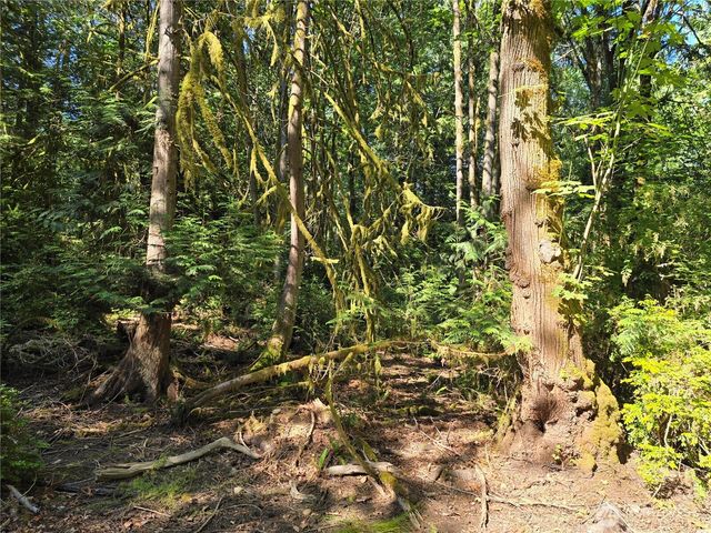 655 E Pointes Drive E, Shelton, WA 98584