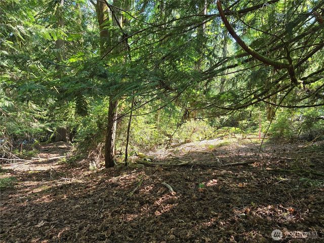 655 E Pointes Drive E, Shelton, WA 98584