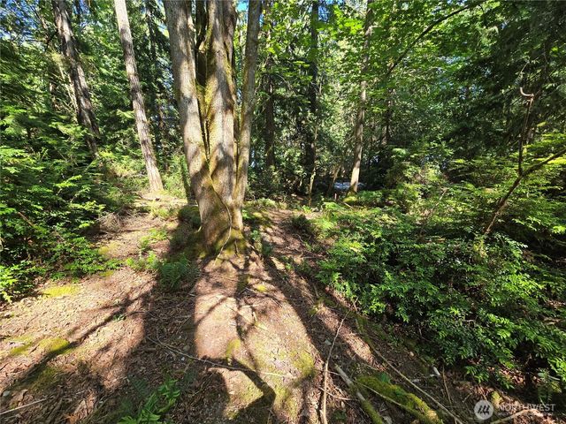 655 E Pointes Drive E, Shelton, WA 98584
