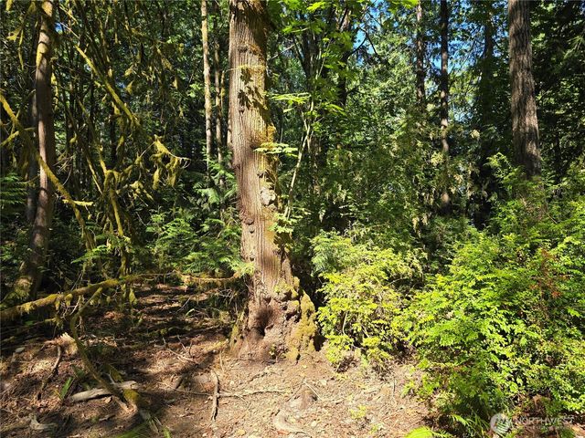 655 E Pointes Drive E, Shelton, WA 98584