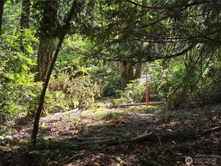 655 E Pointes Drive E, Shelton, WA 98584