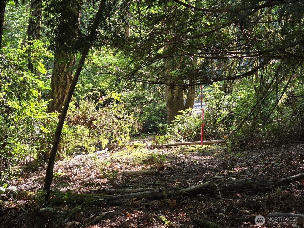 655 E Pointes Drive E, Shelton, WA 98584
