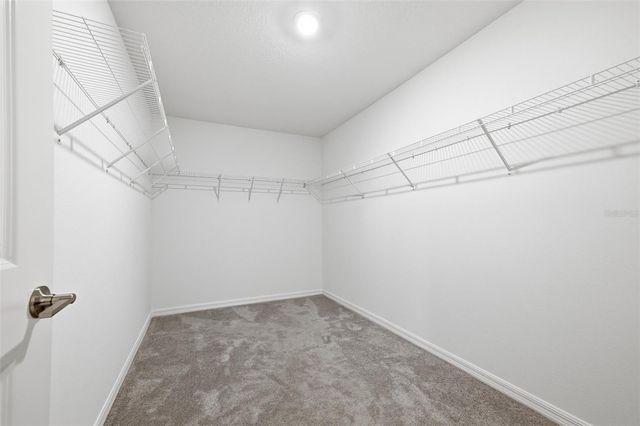 12860 TRIPOLI AVE, Riverview, FL 33579