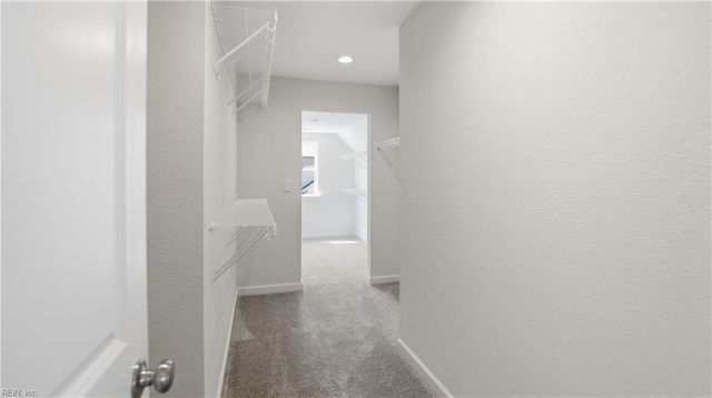 6033 Sam Callis CIR, Suffolk, VA 23435