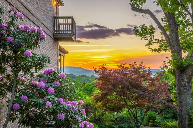 817 Harris Drive, Chattanooga, TN 37412