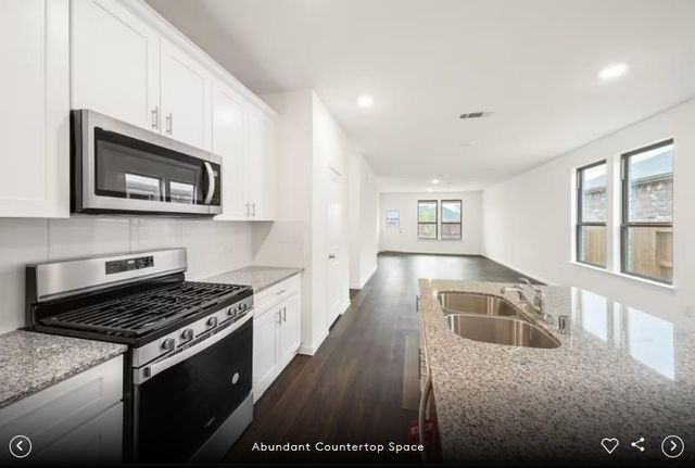 5103 Monarda Mint DR, Austin, TX 78653