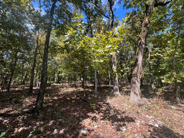 000 County Road 9230, West Plains, MO 65775