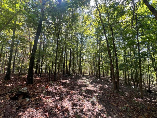 000 County Road 9230, West Plains, MO 65775