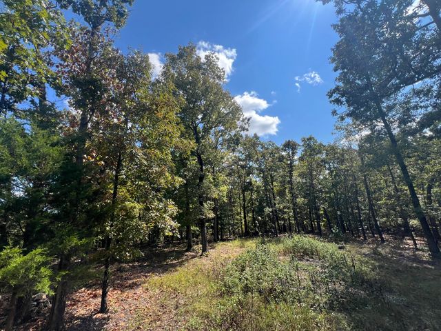 000 County Road 9230, West Plains, MO 65775