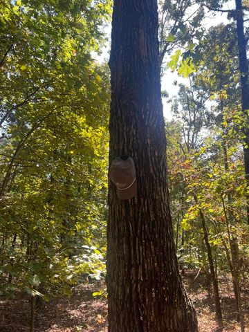 000 County Road 9230, West Plains, MO 65775