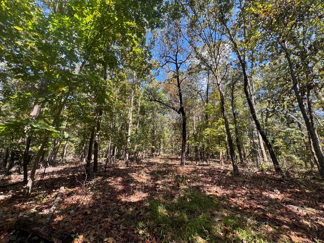 000 County Road 9230, West Plains, MO 65775