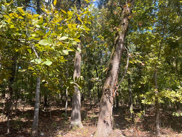 000 County Road 9230, West Plains, MO 65775