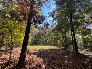 000 County Road 9230, West Plains, MO 65775