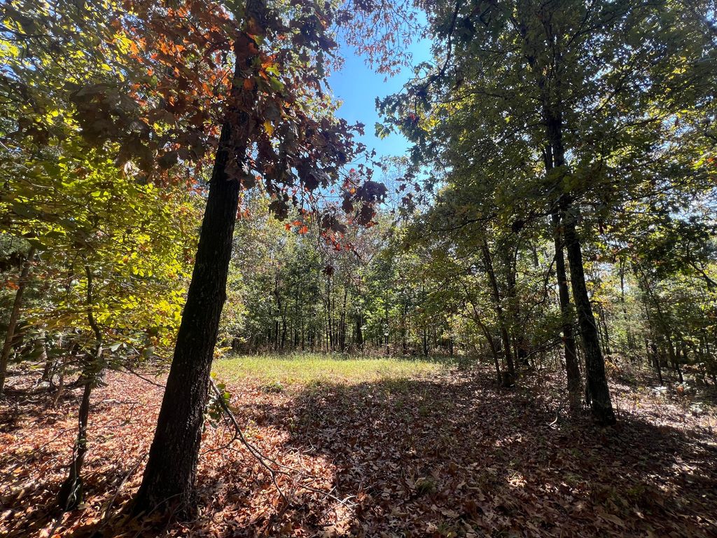 000 County Road 9230, West Plains, MO 65775