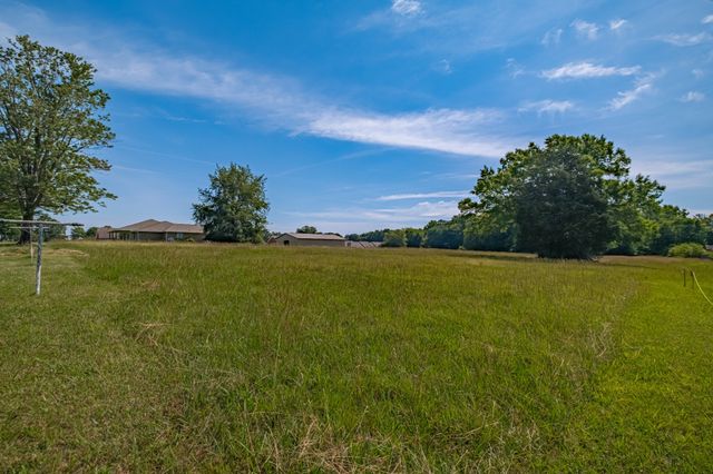 1319 Hills Chapel Rd, Manchester, TN 37355