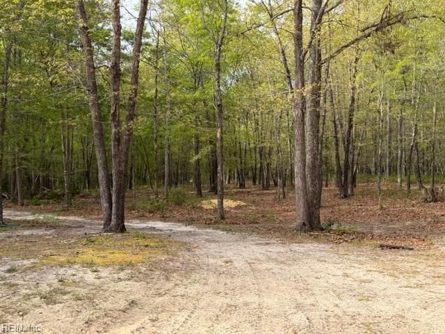 21483 Chestnut LN, Zuni, VA 23898