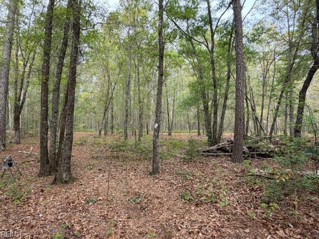 21483 Chestnut LN, Zuni, VA 23898