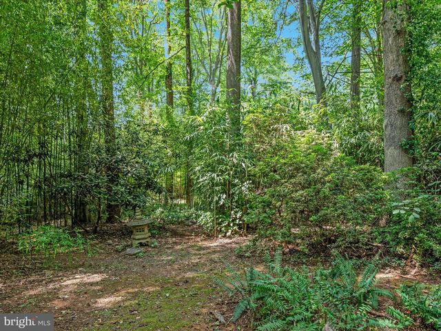 13209 JOHNNY MOORE LN, Clifton, VA 20124