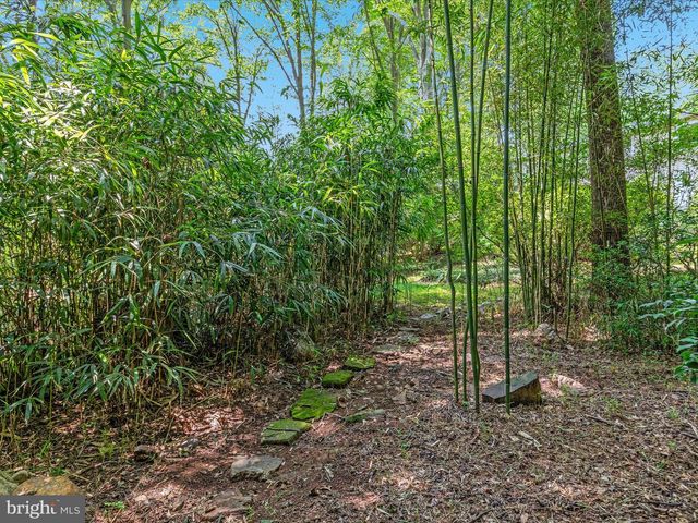 13209 JOHNNY MOORE LN, Clifton, VA 20124