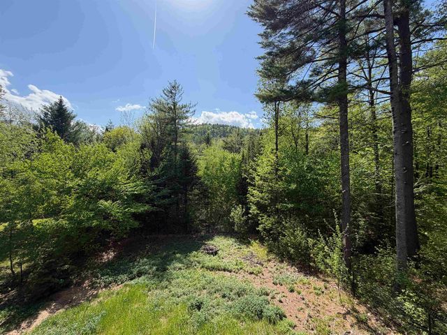 83 Tabor Circle, Albany, NH 03818