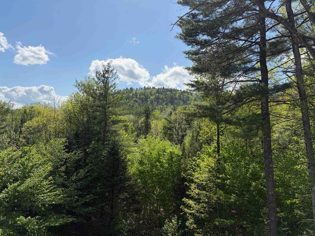83 Tabor Circle, Albany, NH 03818