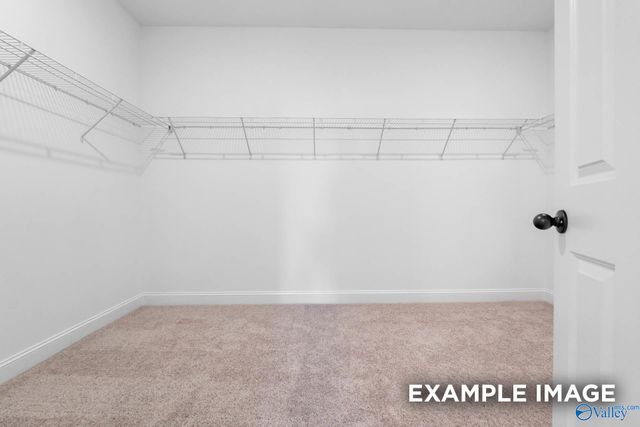 216 Kendall Farms Boulevard, Toney, AL 35773