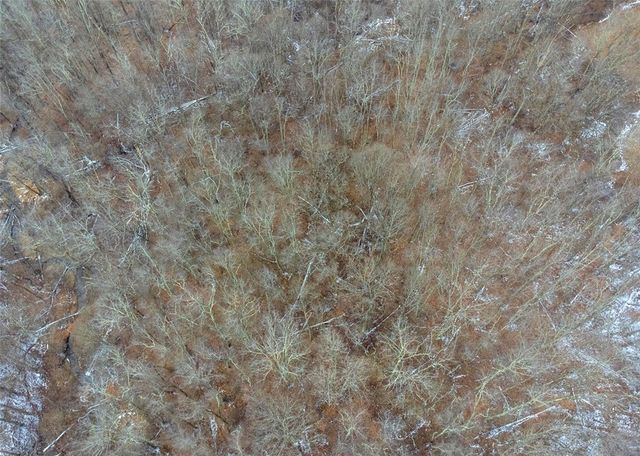 4930 Ashbaugh Rd, Murrysville, PA 15668