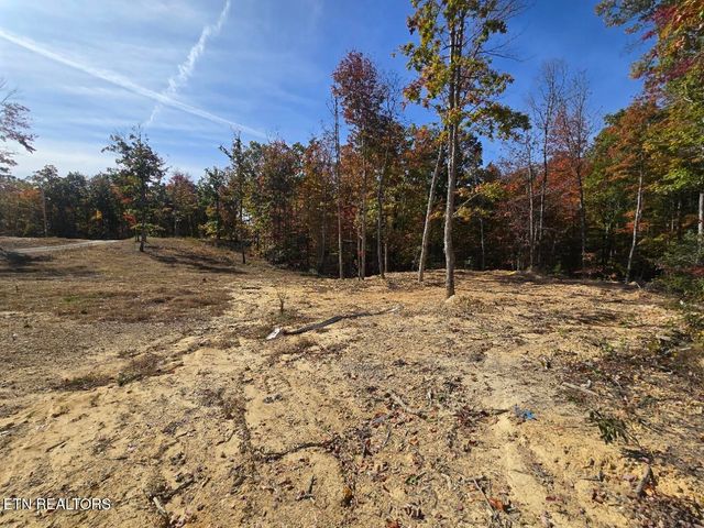 539 Old Beaty Pvt. Rd, Winfield, TN 37892