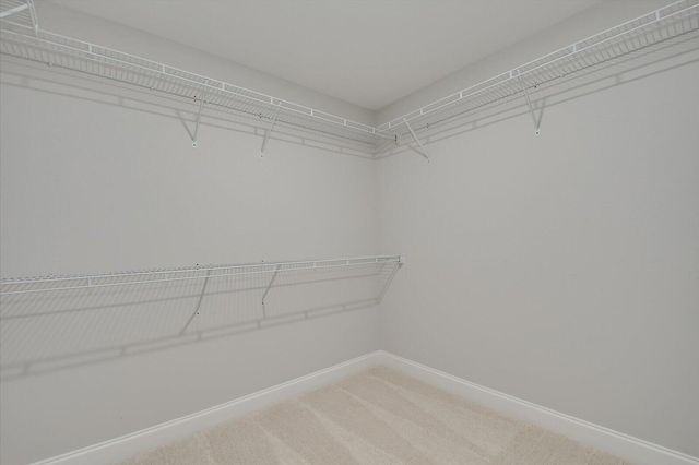 923 Walker Pt Drive, Grovetown, GA 30813