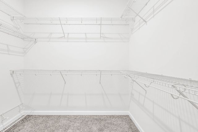 1171 Mourning Cloak Dr, Clarksville, TN 37043