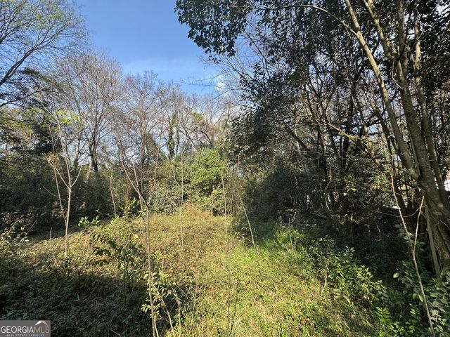 1211 Schelly Street, Macon, GA 31206