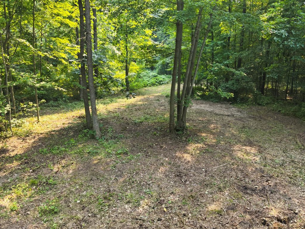 Frushour Drive, Holly, MI 48442