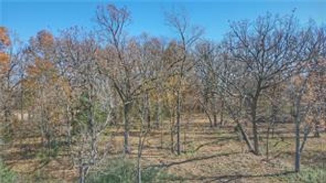 TBD S Elm Street, Siloam Springs, AR 72761