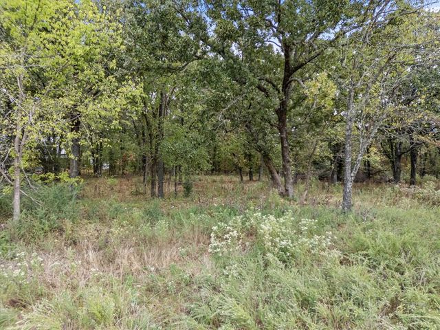 TBD S Elm Street, Siloam Springs, AR 72761