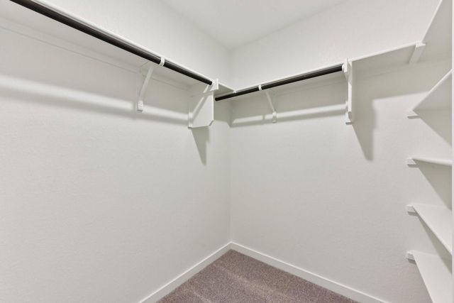 2223 Oscar Eli WAY, Round Rock, TX 78665