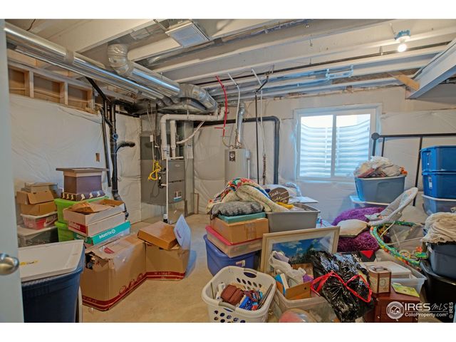 925 Greenbrook Dr, Windsor, CO 80550