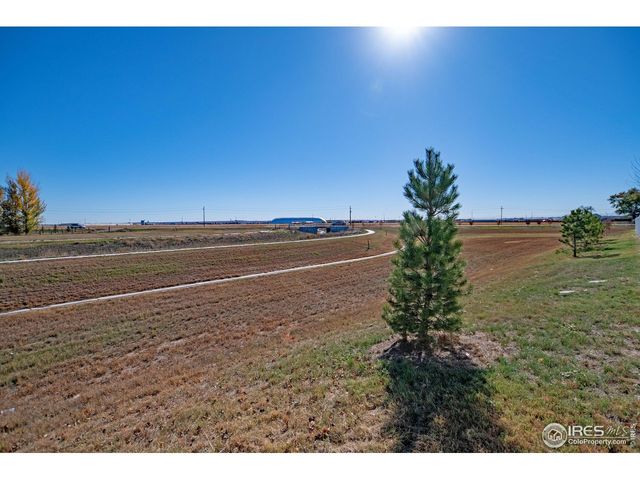 925 Greenbrook Dr, Windsor, CO 80550