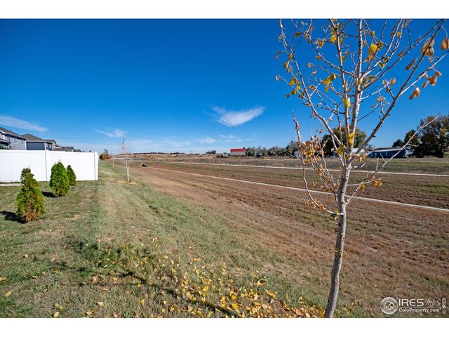 925 Greenbrook Dr, Windsor, CO 80550