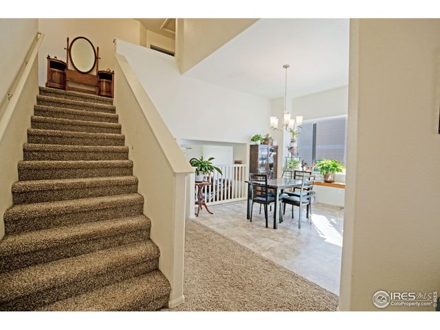 925 Greenbrook Dr, Windsor, CO 80550