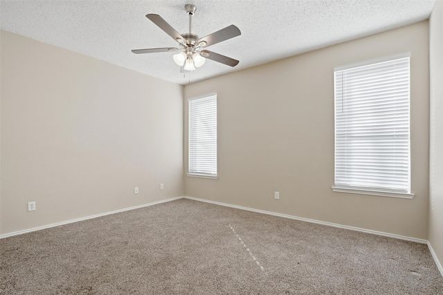 213 Beechgrove Terrace, Fort Worth, TX 76140