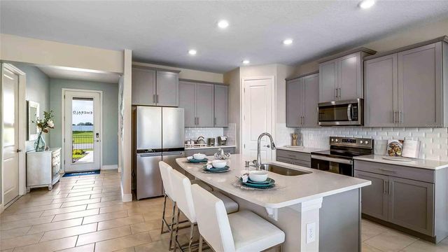 4306 SILVER BIRCH COURT, Palmetto, FL 34221