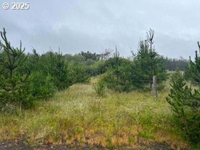 806 318TH Pl, Ocean Park, WA 98640