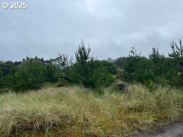 806 318TH Pl, Ocean Park, WA 98640