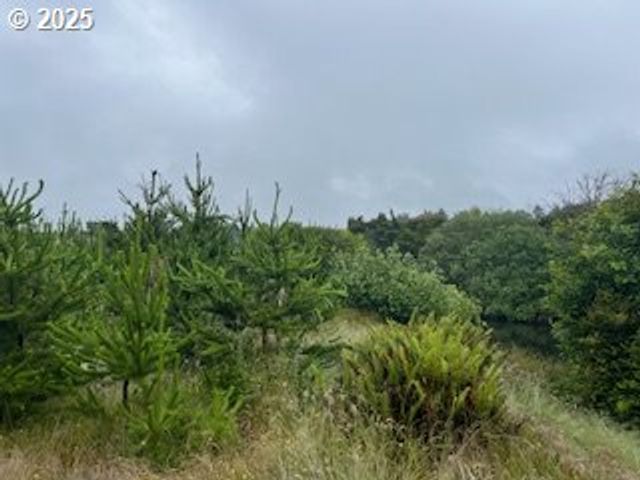 806 318TH Pl, Ocean Park, WA 98640