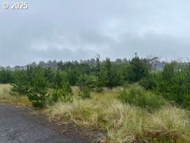 806 318TH Pl, Ocean Park, WA 98640