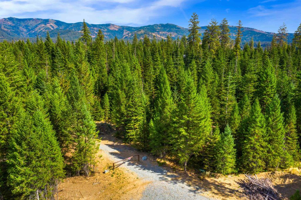 701 Happy Trails Ln, Newport, WA 99156 photo 7