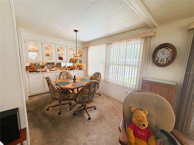 111 CHESTNUT STREET, Leesburg, FL 34748