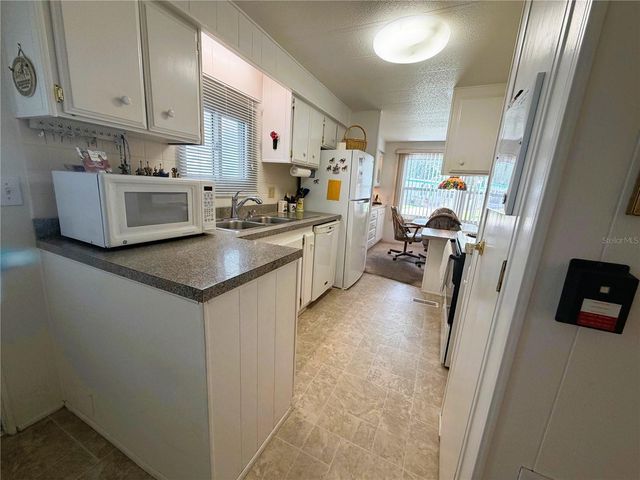 111 CHESTNUT STREET, Leesburg, FL 34748
